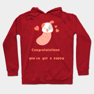 congratulation you 've got a puppy Hoodie